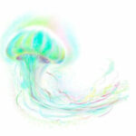 プロフィール写真