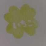 プロフィール写真