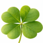 いちご さんのプロフィール写真