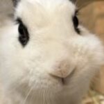 プロフィール写真